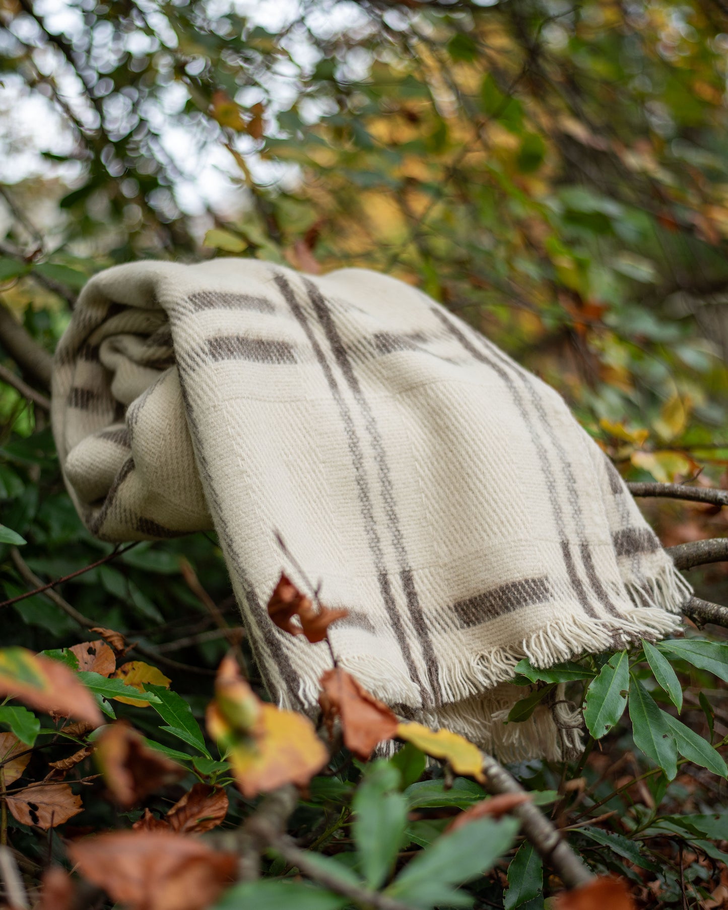 100% Wool Blanket Throw