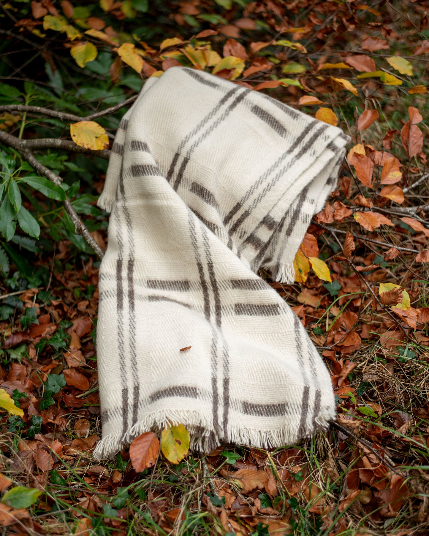 100% Wool Blanket Throw