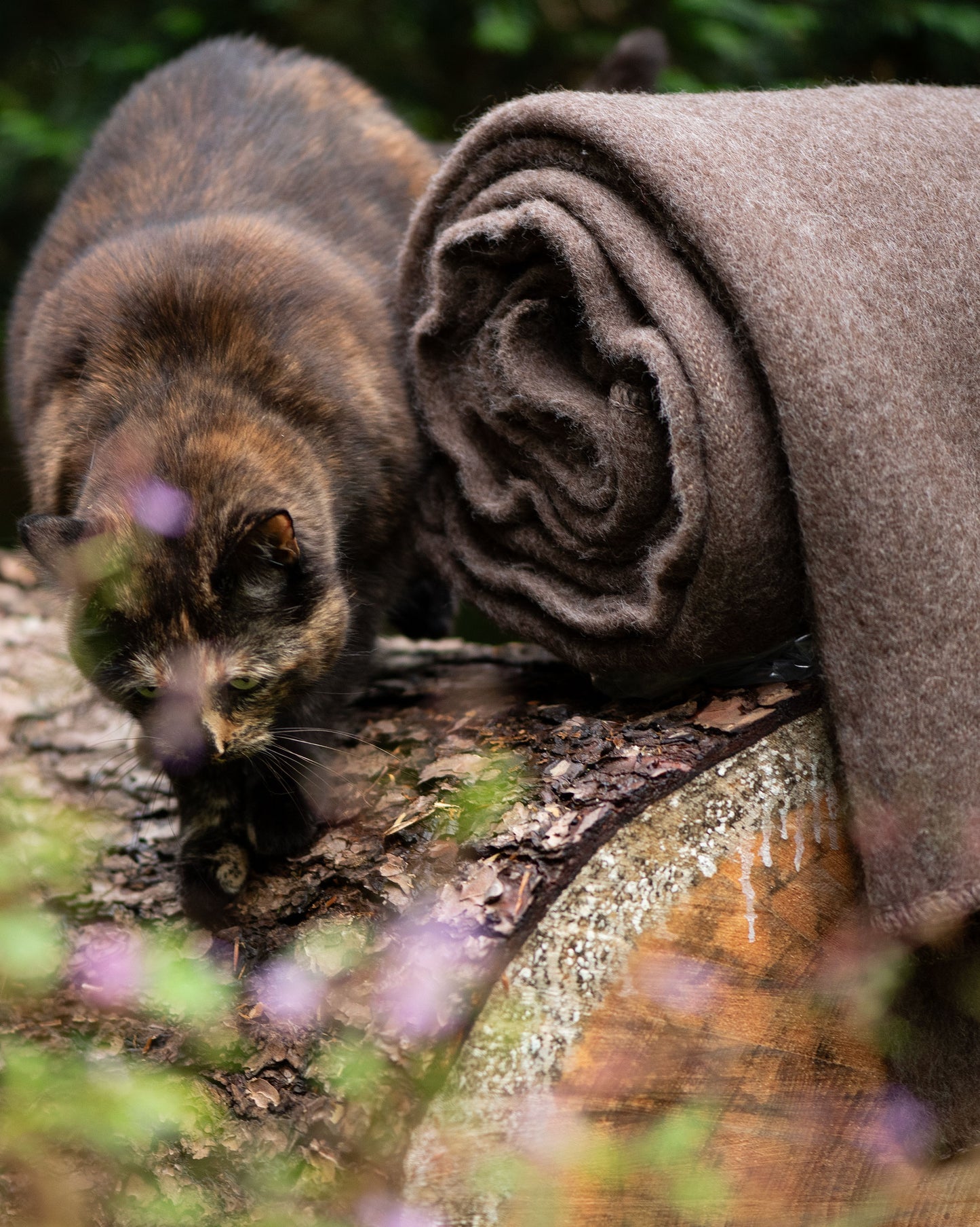 100% Wool Heavyweight Blanket - Natural Brown