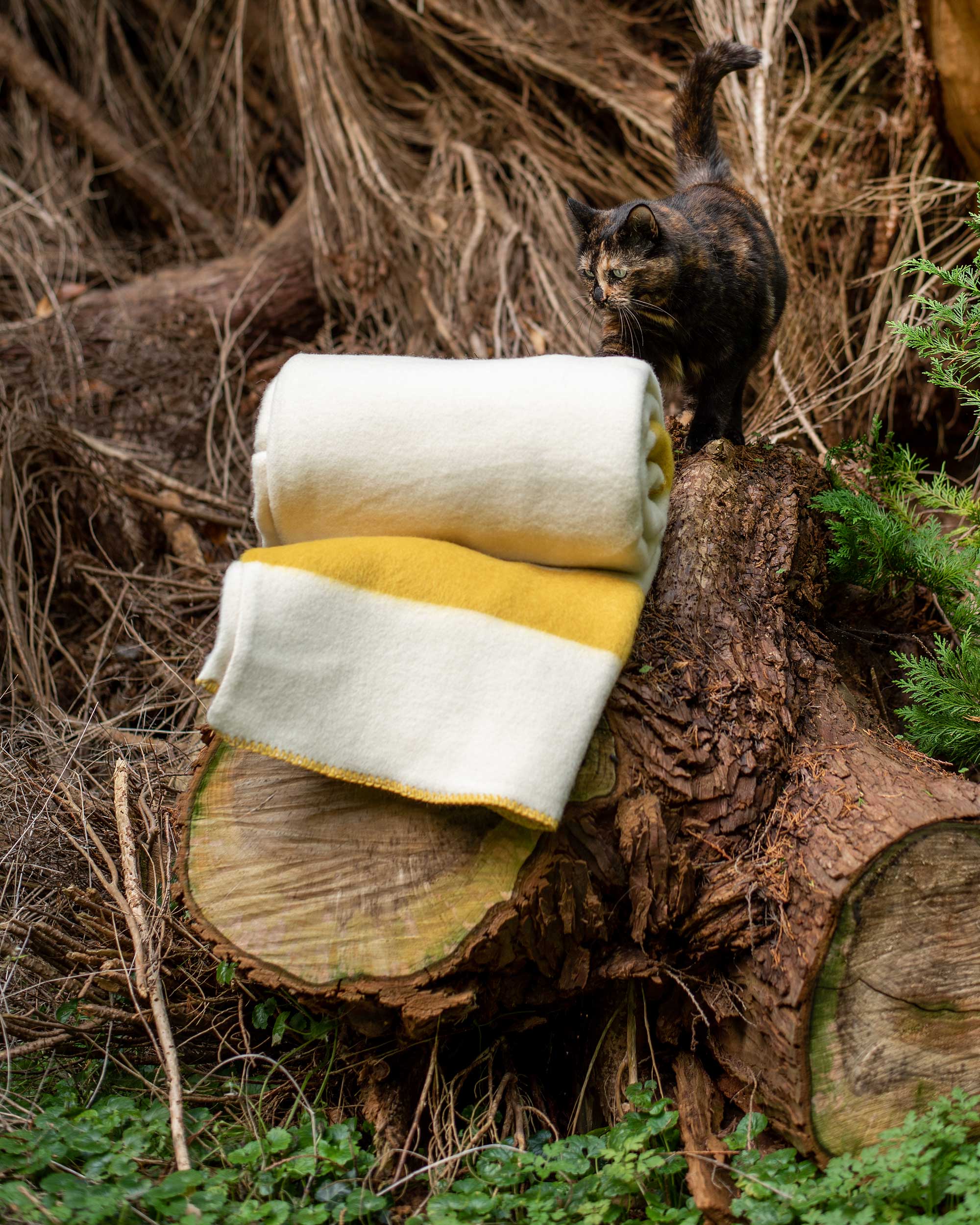 Pure New Wool Heavyweight Blanket Natural White Mustard