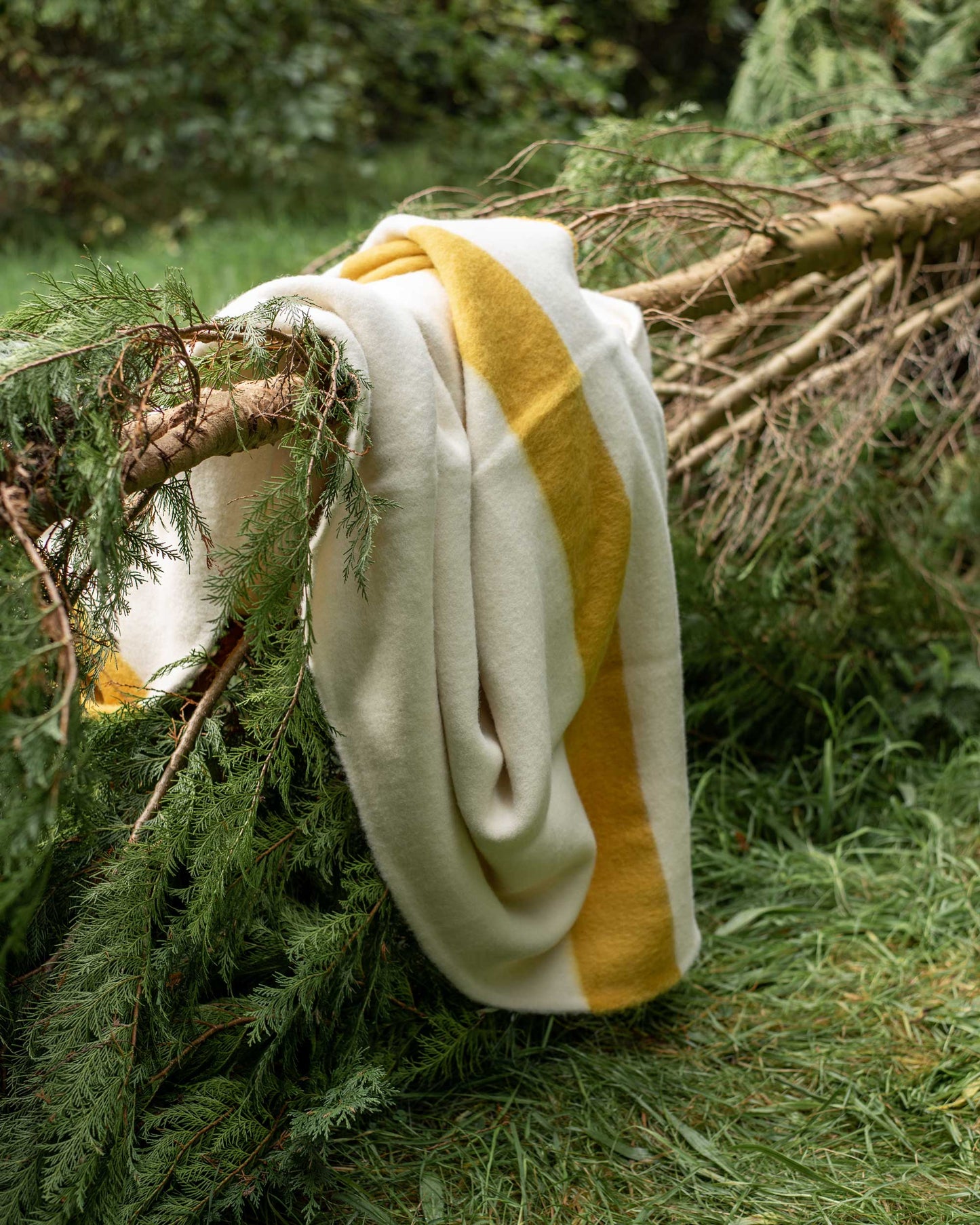 Pure New Wool Heavyweight Blanket - Natural White/Mustard