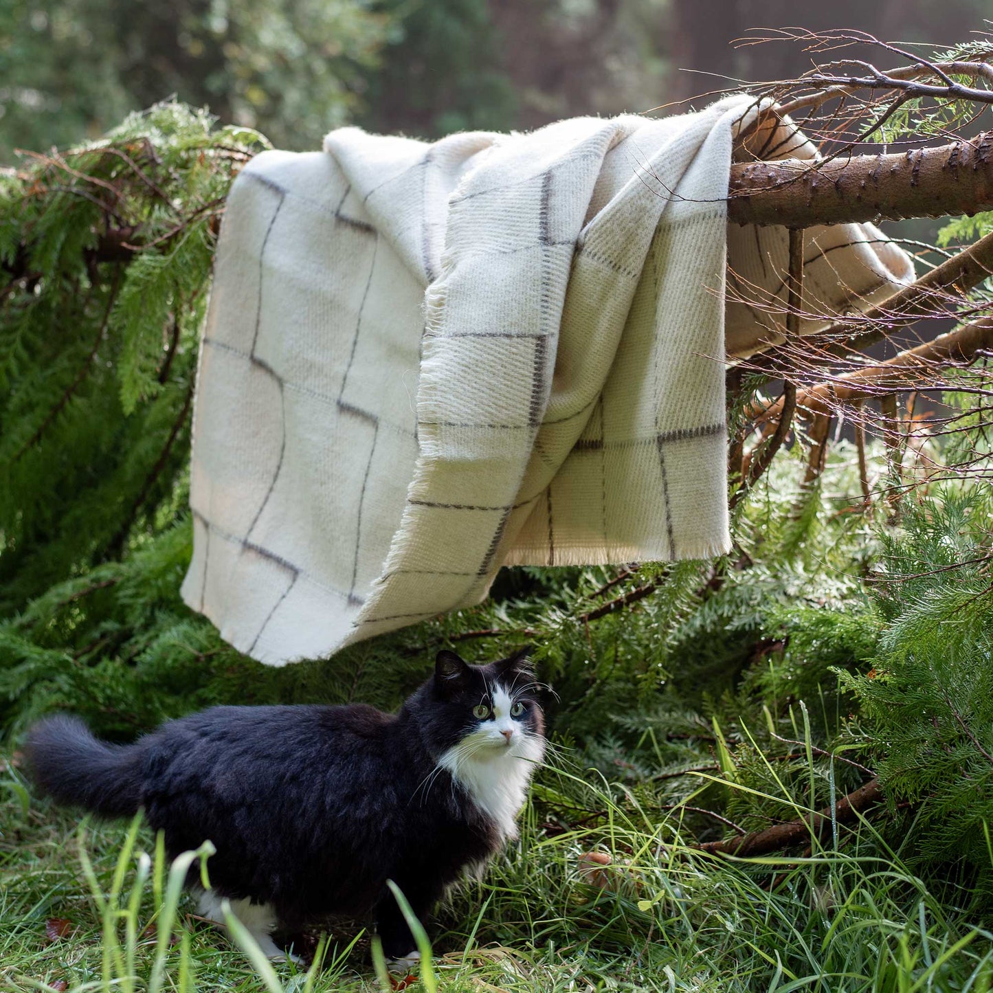 100% Wool Blanket Throw