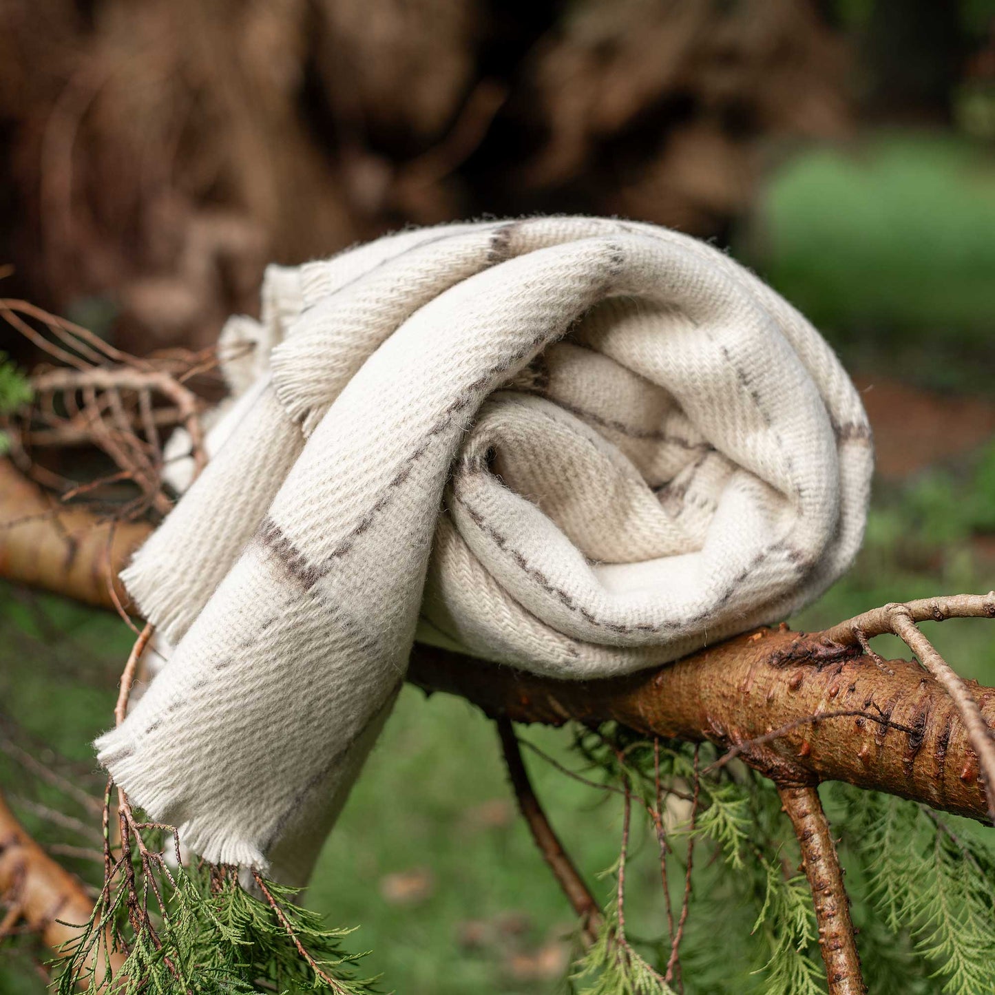 100% Wool Blanket Throw