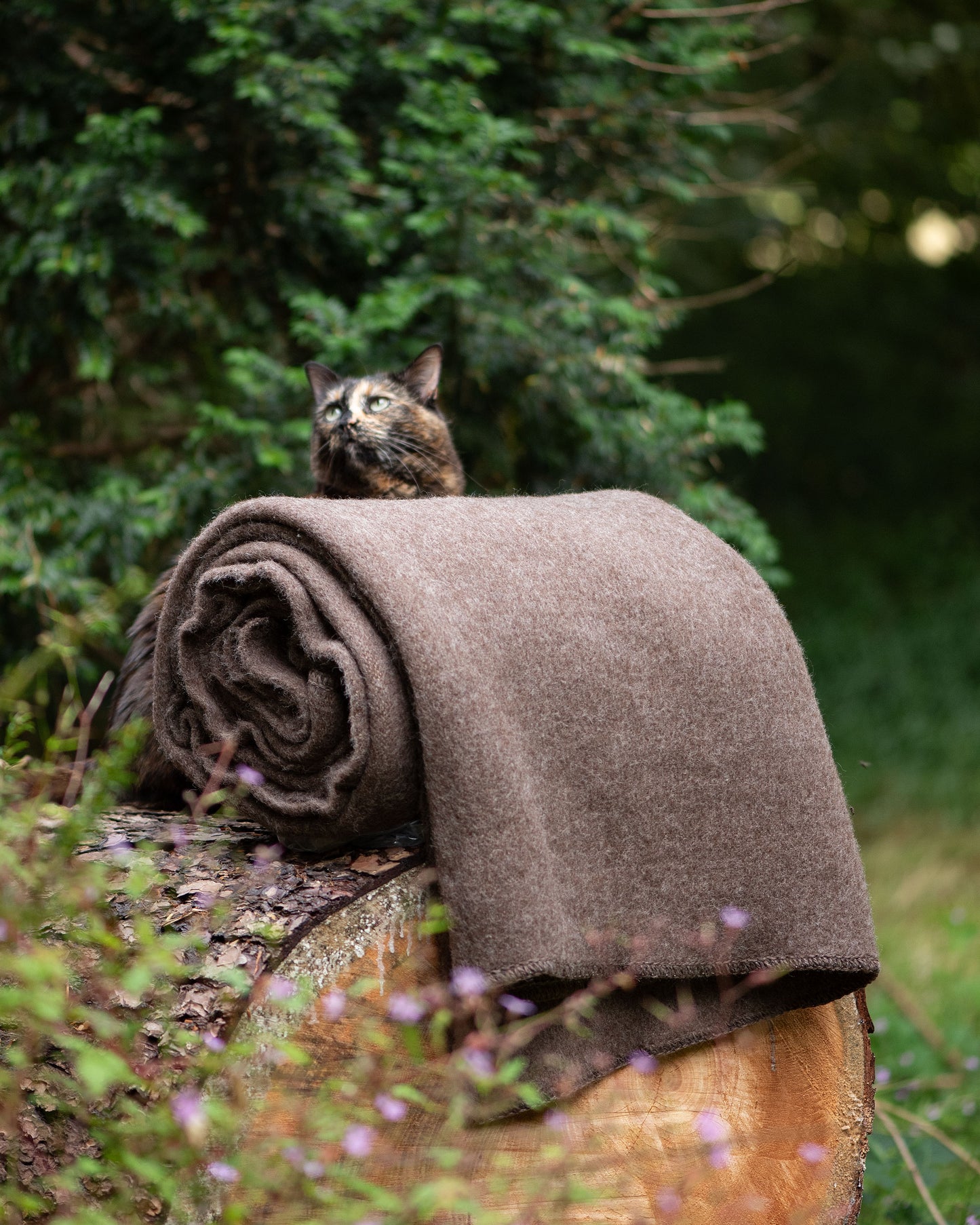 Pure New Wool Heavyweight Blanket - Natural Brown